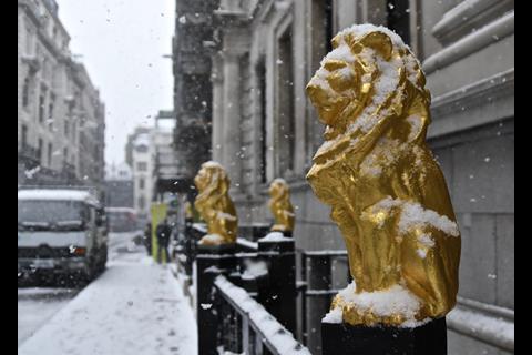 Law society lions snow